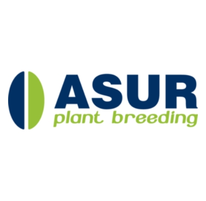 asur